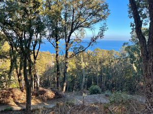 TERRAIN BRANDO VUE MER