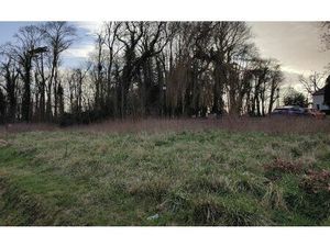 Terrain Chailly-en-Brie m² T- à vendre  98 000 €