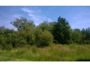 Terrain Dhuizon m² T- à vendre  34 000 €