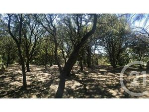 Terrain à vendre - 7237 m2 - Istres - 13 - PROVENCE-ALPES-COTE-D-AZUR