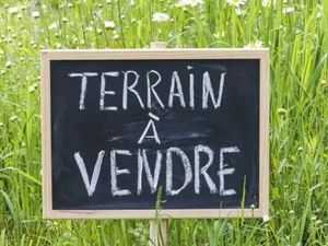 Vente terrain 2030 m² à La Ferté-Beauharnais (41210)  40 500 €
