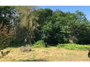 Terrain La Ferté-Saint-Cyr m² T- à vendre  90 000 €