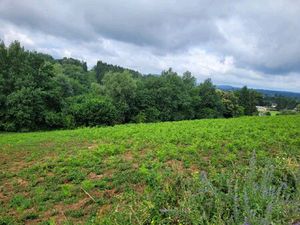 Vente terrain 4856 m² Lanobre (15270)