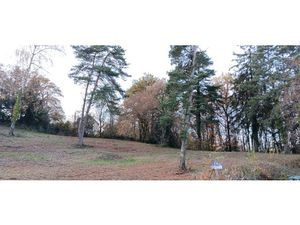 Terrain de 4445m2 à vendre à 10 minutes de Tulle
