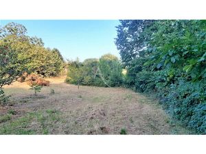 Vente terrain  1343.00m²  Massoulès