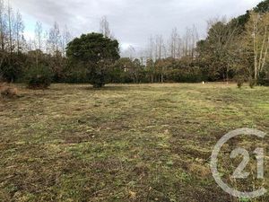 Terrain à vendre - 2309 m2 - Mazerolles - 40 - AQUITAINE