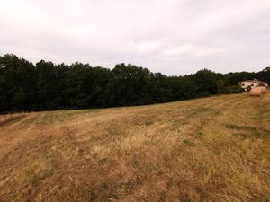 Terrain de 2500 m2 avec partie boisée et vue dégagée