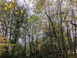 Vente terrain 1030 m² à Poullaouen (29246)  19 000 €