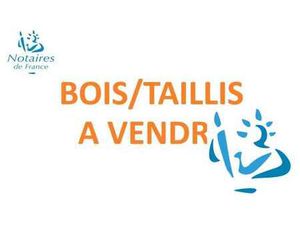 Vente Terrain à Saint-Ouen-de-Sécherouvre (61560) : à vendre / 1115m² Saint-Ouen-de-Sécher