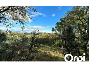 Terrain Saint-Paul-Trois-Châteaux 4528 m² T-0 à vendre  240 000 €