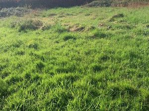 Terrain 715 m² Ambrières-les-Vallées