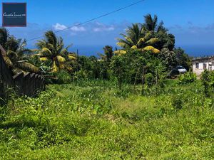 Terrain à bâtir de 1 316 m2 à vendre à Basse-Pointe