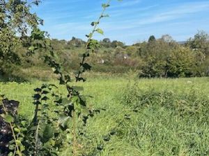 en vente Terrain constructible 4 46 ares – 90 000 € |Bouxières-aux-Chênes