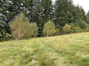 Terrain à bâtir sur Bugeat à deux pas des commerces. Superficie 2376m² environ