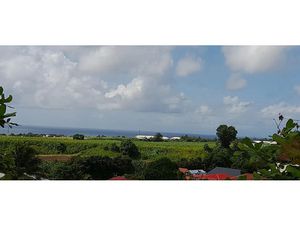 Vente terrain à batir 507 m² à Capesterre Belle Eau (97130)  65 400 €