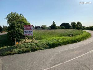 Vends terrain constructible 2441 m2 à 10 euros le m2