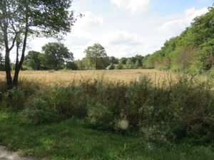 Vente terrain 2160 m² à Clémont (18410)  31 500 €