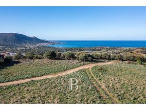 Corbara  terrain constructible avec permis de construire  vue mer et montagnes