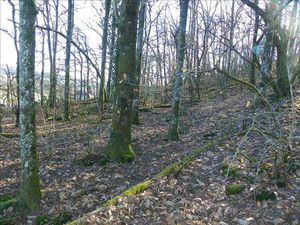 Vente terrain 3460 m² Curemonte (19500)