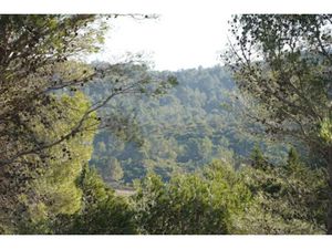 Vente terrain à batir 1700 m² à Fontjoncouse (11360)  107 000 €