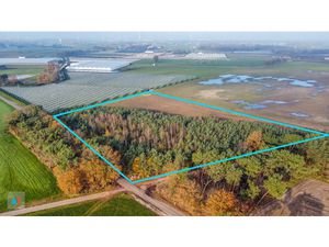 Grond te koop in Minderhout