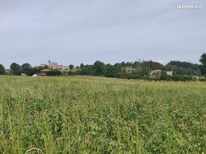 Terrain constructible