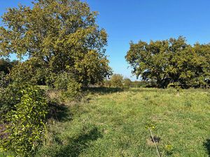 Vente terrain  388.00m²  Ligné