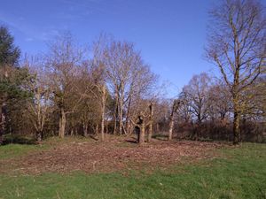 TERRAIN A BATIR LUSSAC LES CHATEAUX - 4108 m2