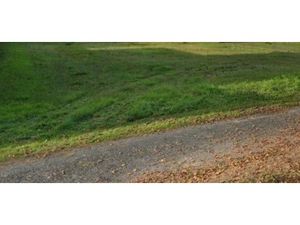 Vente terrain 1232 m² à Mareau-aux-Prés (45370)  167 400 €