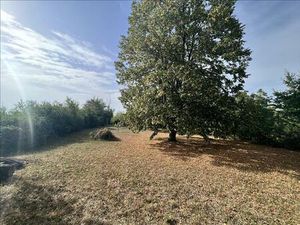 Vente terrain 2230 m² Saint-Baudel (18160)