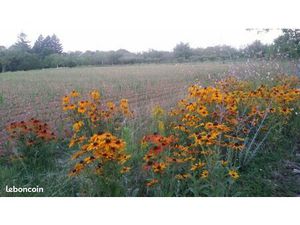 Terrains à bâtir 1500 m² St Michel Loubejou