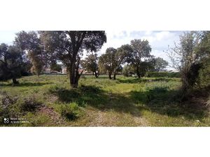 Vente terrain à batir 941 m² à Solaro (20240)  125 000 €