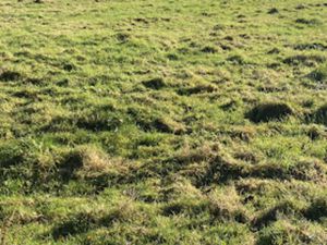 Vente terrain 5000 m² à Hauteville (62810)  45 000 €