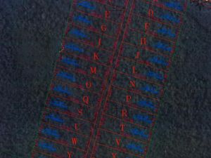 Terrain agricole à Iracoubo