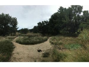 Vente terrain 80839 m² Mauguio (34130)