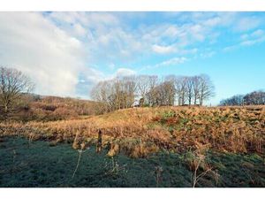 Terrain agricole à vendre à Diestsesteenweg Papenbos Tielt (RBE05590)