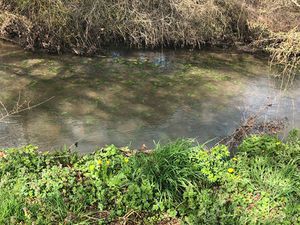 Terrain Lhommaize 414 m2 Ambiance Bucolique à 20 min de POITIERS