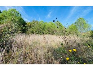 Terrain Trouillas m² T- à vendre  15 000 €