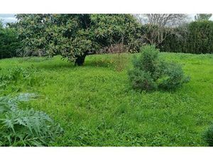 Terrain Usclas-d'Hérault m² T- à vendre  149 000 €