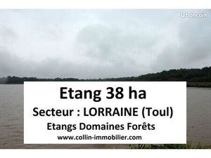Terrain 380000 m² Toul