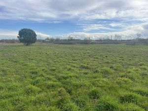 Terrain à vendre – 1 800 m² – Seysses (à 4 km du centre-ville)