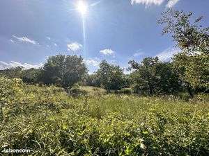 Terrain 1 pièce 3644 m²