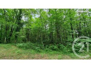 Terrain 2 240 m² Milhac