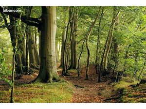 Terrain 406130 m² SAINT REMY DE MAURIENNE