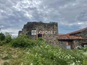 Maison T1 Siaugues-Sainte-Marie à vendre