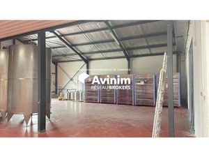 Local d'activités avec Show room