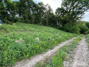 Terrain 1 200 m² Niederhaslach