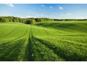 Vente terrain 400 m² à Pontault-Combault (77340)  210 000 €