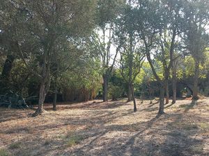 Vente terrain 1005 m² Caumont-sur-Durance (84510)