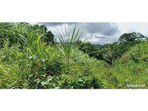 Terrain 5 303 m² Gros Morne